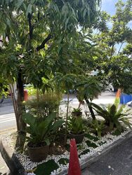 Geylang Road (D14), Terrace #506469361